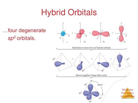 PPT - Hybrid Orbitals PowerPoint Presentation, free download - ID:6008276