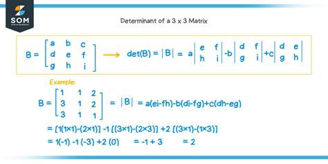 Determinant of a 3x3 matrix - Explanation & Examples