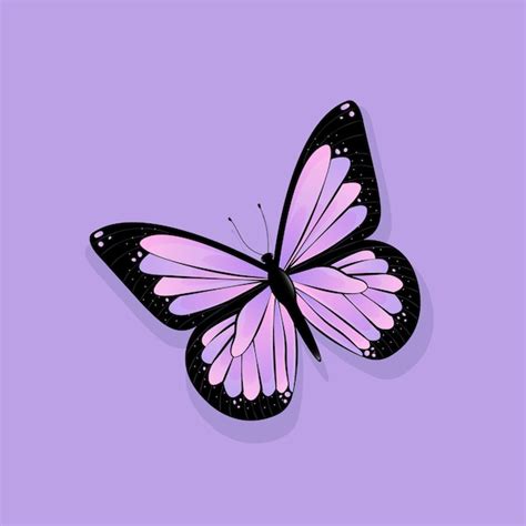 Premium Vector | Purple butterfly illustration