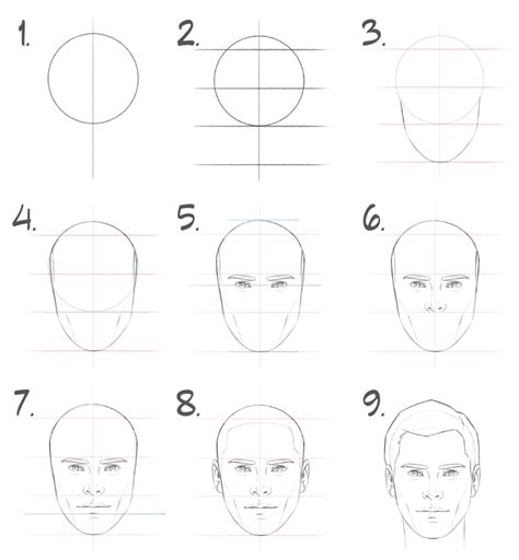 41+ drawing face proportions step by step pdf - CynthiaLayla