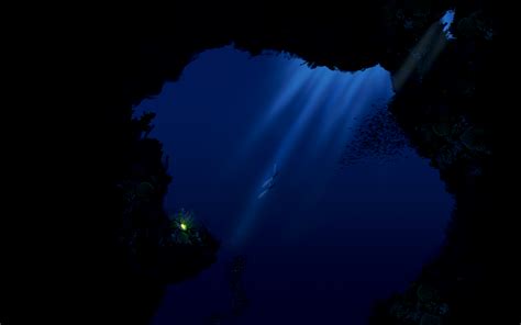 Deep Sea Diving Wallpapers - Wallpaper Cave