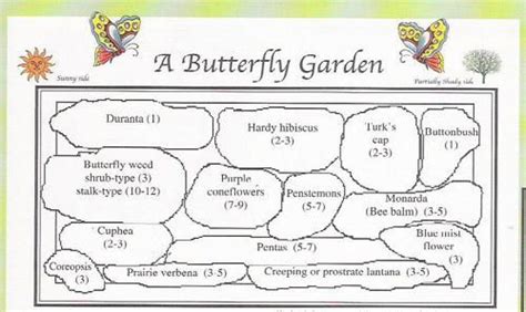 Monarch Butterfly Garden Design Plans | monarch butterfly migration