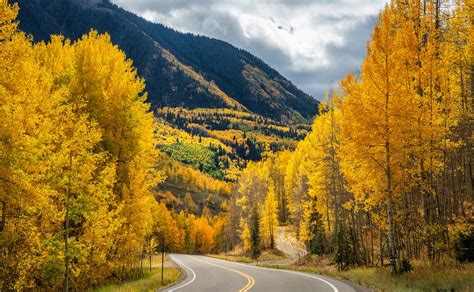 The Insider's Guide to Aspen Fall Colors and Foliage - Aspen Signature Properties