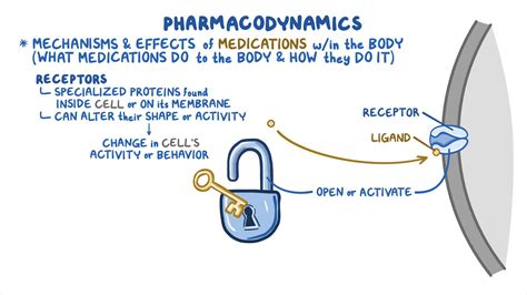 Pharmacodynamics: Agonist, partial agonist and antagonist | Osmosis