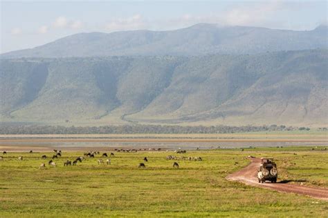 Ngorongoro Crater - How to Safari in a Wildlife Utopia