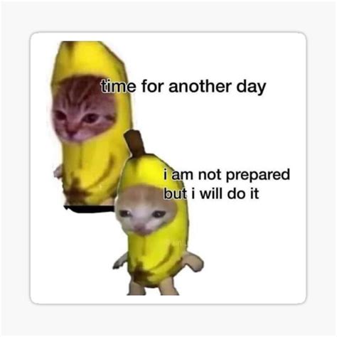 "Banana Cats Meme" Sticker for Sale by stellaheine14 | Redbubble