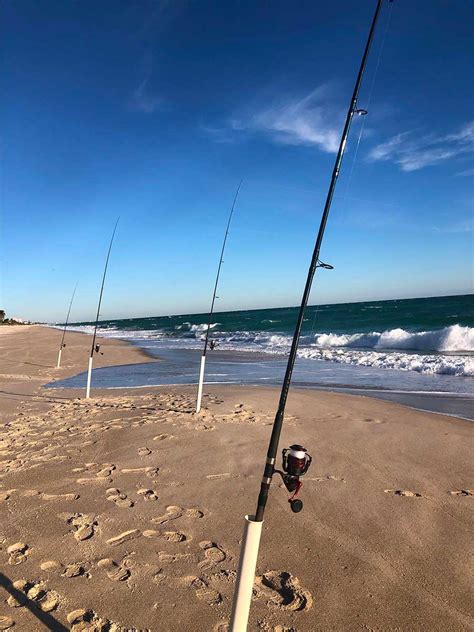 December Report and January Space Coast Surf Fishing Forecast