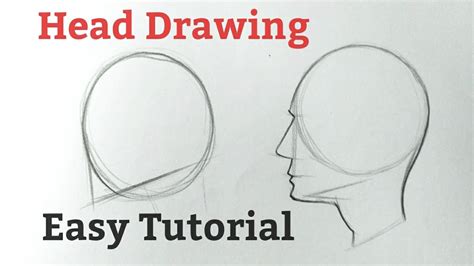 How To Draw A Human Head Side View