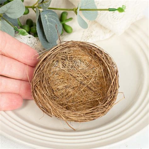 3" Natural Bird Nests - Birds & Butterflies - Basic Craft Supplies - Craft Supplies