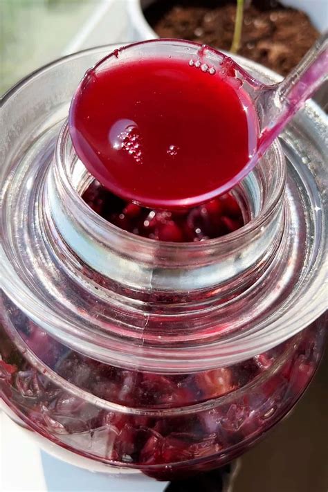 Homemade Grape Wine (2 ingredient recipe) | Recipes with Videos