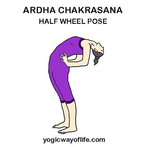 Ardha Chakrasana - Half Wheel Pose - Yogic Way of Life