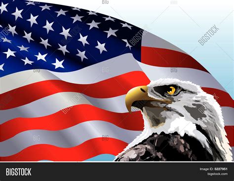 Bald Eagle American Flag Stock Vector & Stock Photos | Bigstock