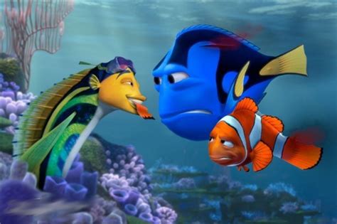 Finding Nemo Vs Shark Tale - HubPages