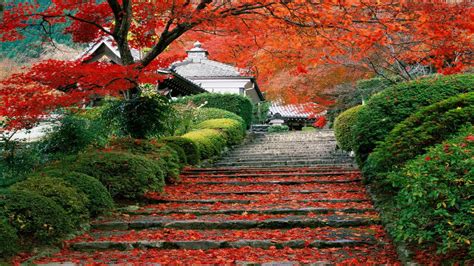 Japan Landscape Wallpapers - Top Free Japan Landscape Backgrounds - WallpaperAccess