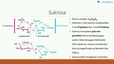 Perubahan Fisika Dan Kimia Pada Sukrosa – Ilustrasi