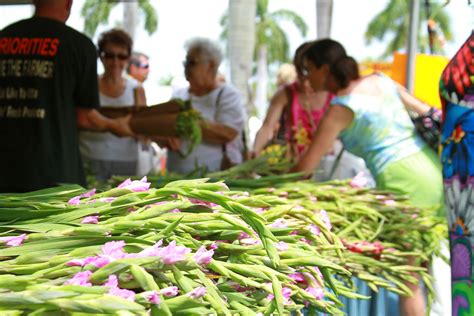 delray beach art festival 2022 - eskuchen