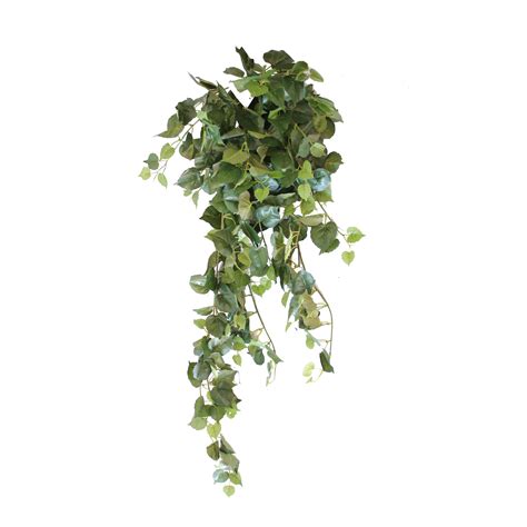 Faux Hanging Plants - Cottonwood Vine 94cm | Greenery Imports | Geheimer garten, Texturen, Pflanzen