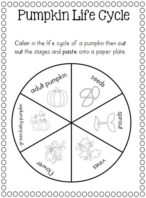 Pumpkin Life Cycle Coloring Pages Printable Sketch Coloring Page