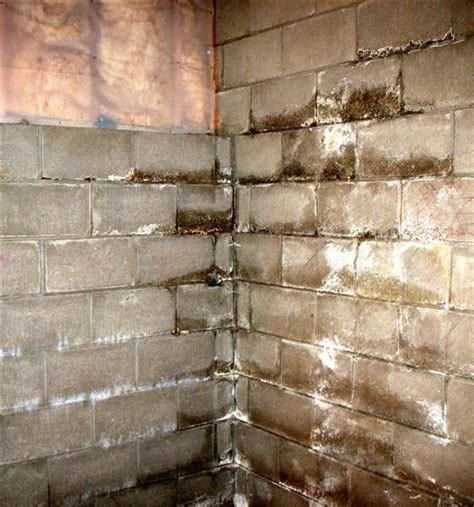 Concrete Block Basement Wall Leak Repair - Openbasement