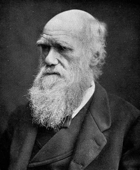 Teoria de Darwin | Cursos Online Web