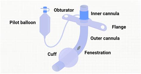 Fenestrated Vs Non-Fenestrated Tracheostomy Tube, 56% OFF