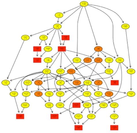 Directed Acyclic Graph (DAG) Service - Creative Proteomics