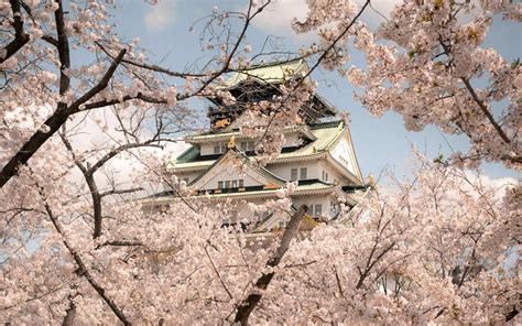 Osaka Castle Wallpapers (36+ images inside)