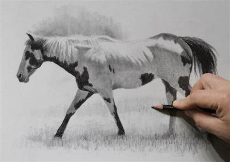 How To Draw A Realistic Horse Youtube