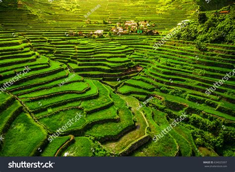 World Heritage Ifugao Rice Terraces Batad Stock Photo 634025597 ...