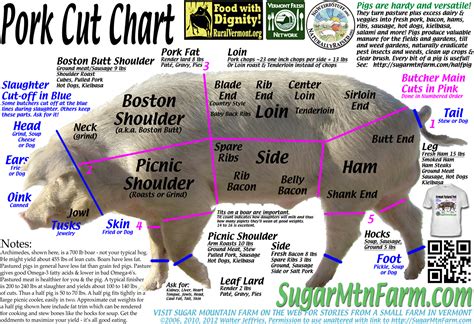 Pork Cuts Diagram Parts Of A Pig