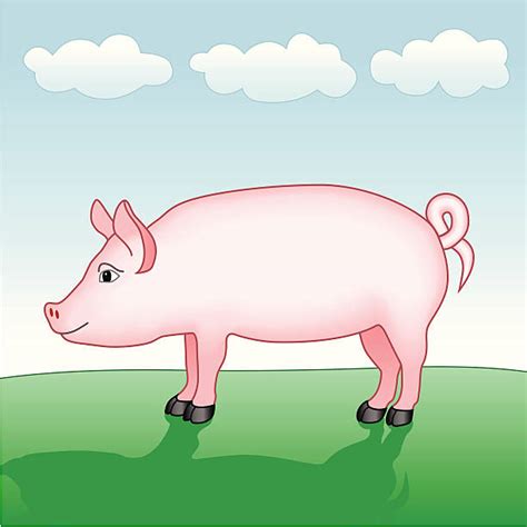 Pig Side View Illustrations, Royalty-Free Vector Graphics & Clip Art - iStock