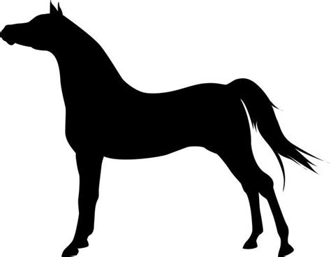 pretty Arab silhouette | Horse stencil, Horse silhouette, Horses