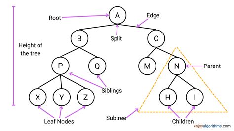 Decision Tree Algorithm in Machine Learning