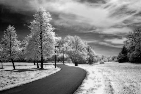 How to shoot infrared photos with a filter – Chris McPhee – Photographer