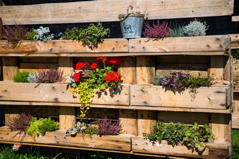 How to Make a Raised Bed Using Pallets | Kellogg Garden Organics™