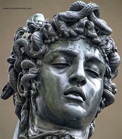 Head of Medusa, Florence | Perseus and medusa, Medusa art, Statue