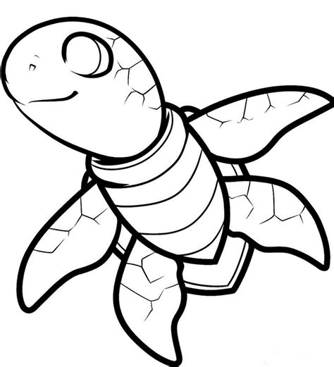 Loggerhead Sea Turtle Drawing | Free download on ClipArtMag