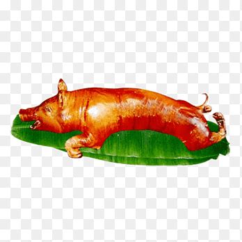 Lechon png images | PNGEgg