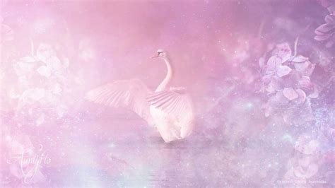 Swan Dream Dictionary: Interpret Now! - Auntyflo.com