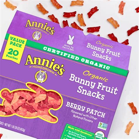 Are Fruit Snacks Vegan? Plus, 10 Healthy Brands To Try