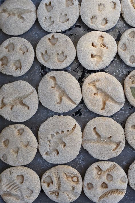 DIY Dinosaur Fossils with Salt Dough - Make Life Lovely