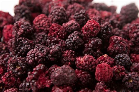 Freeze dried blackberries you can buy online in Ireland