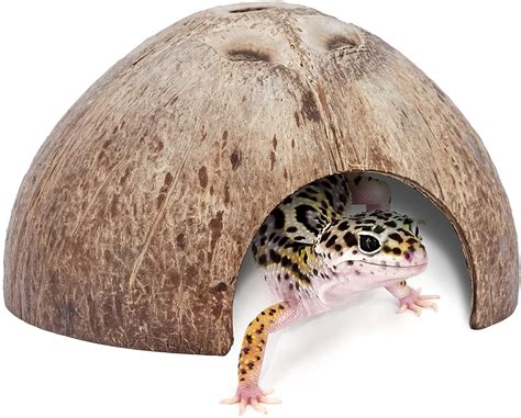 12 Best Leopard Gecko Hides to Purchase! (An Expert's Guide)