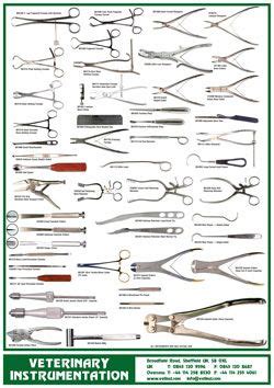 orthopedic surgical instruments pictures and names pdf - Nuts Blogsphere Photo Gallery