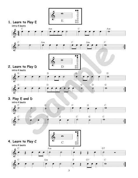 Alto Recorder Resource Student Edition - Minimum Order of 5 | Themes and Variations