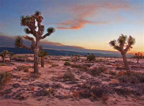 Mojave Desert Climate