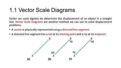 Vector Scale Diagram at Vectorified.com | Collection of Vector Scale Diagram free for personal use