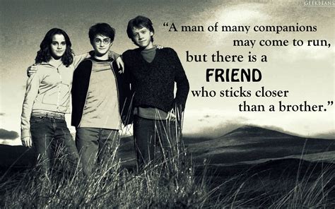 20 Harry Potter Quotes About Friendship Pictures | QuotesBae