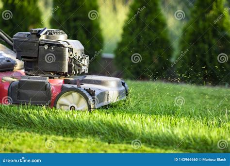 Lawn Mower Cutting Green Grass Stock Photo - Image of trimming, summer: 143966660