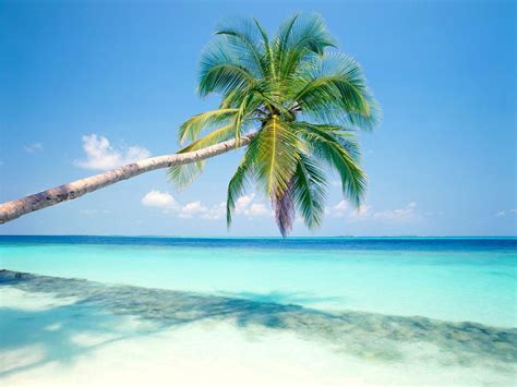 Tropical Island Wallpapers - Top Free Tropical Island Backgrounds - WallpaperAccess